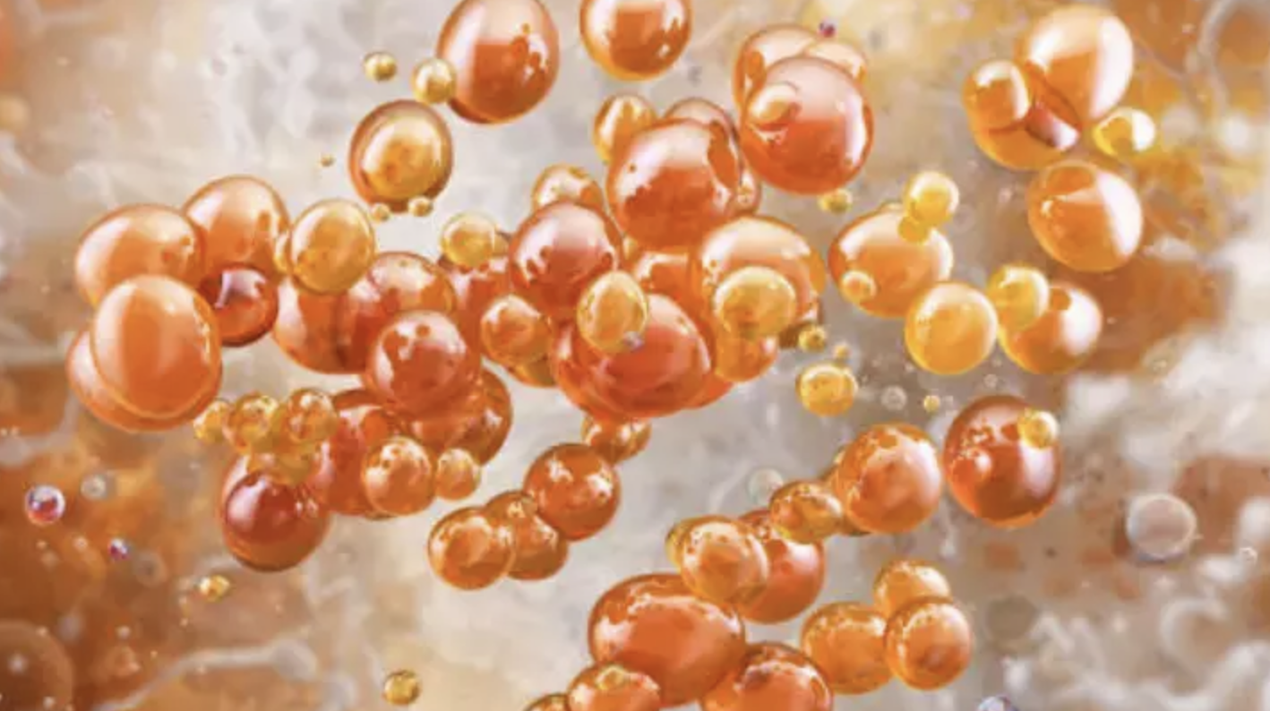 Namık Kemal Üniversitesi7